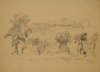 1927 - Alberi e case a Procida (2)